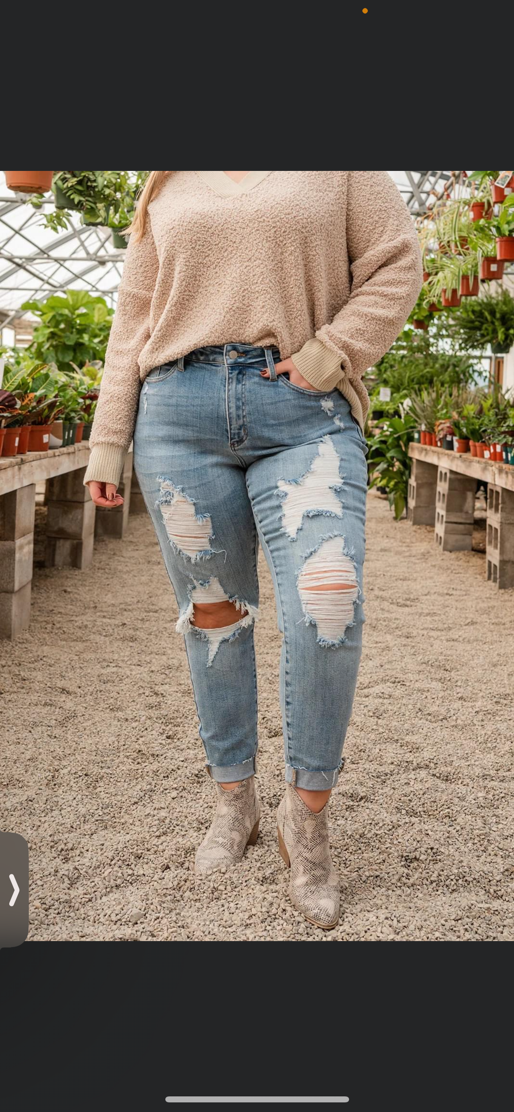 Haley Distressed Judy Blue- Plus